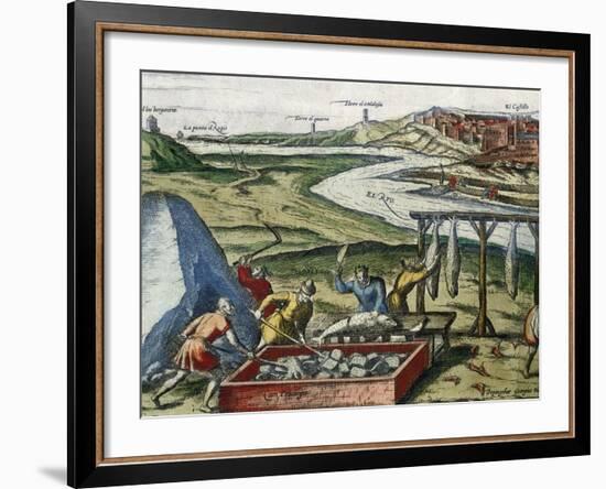 Fish Processing in Conil De La Frontera-null-Framed Giclee Print