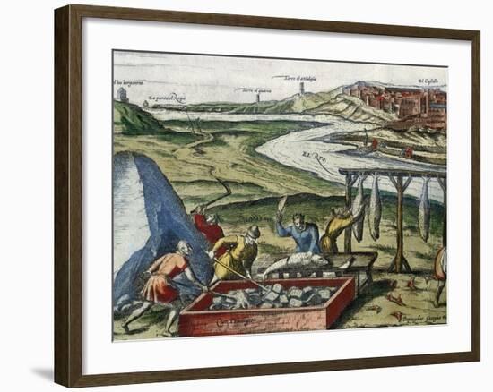 Fish Processing in Conil De La Frontera-null-Framed Giclee Print