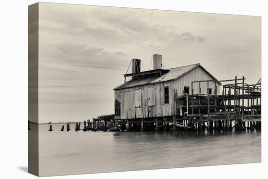 Fish Shack-Wink Gaines-Framed Stretched Canvas