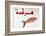 Fish Shop Sign, Tabarka, Tunisia, North Africa-Nico Tondini-Framed Photographic Print