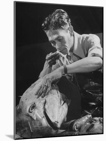 Fish Smeller Romy Madrigal Checking a Fish for Freshness-Allan Grant-Mounted Photographic Print