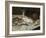 Fish (Still Life), 1864-Edouard Manet-Framed Giclee Print