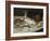 Fish (Still Life), 1864-Edouard Manet-Framed Giclee Print