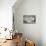 Fish Swimming in a Basin-Carolina Hernandez-Mounted Photographic Print displayed on a wall