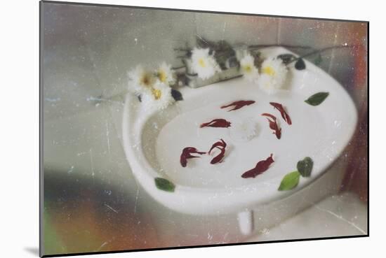 Fish Swimming in a Basin-Carolina Hernandez-Mounted Photographic Print