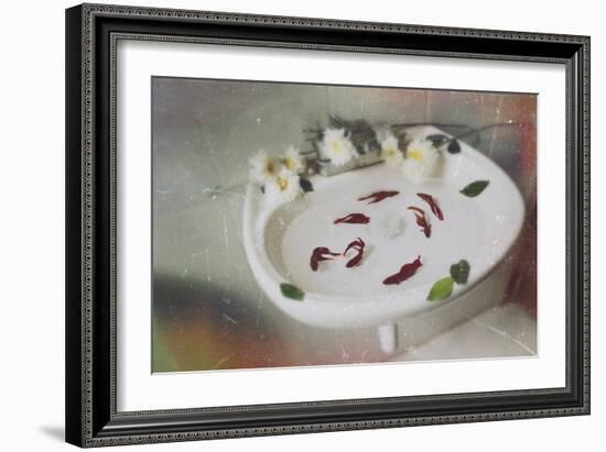 Fish Swimming in a Basin-Carolina Hernandez-Framed Photographic Print