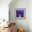 Fish Tales 12-David Sheskin-Framed Giclee Print displayed on a wall