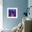 Fish Tales 12-David Sheskin-Framed Giclee Print displayed on a wall