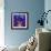 Fish Tales 12-David Sheskin-Framed Giclee Print displayed on a wall