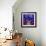 Fish Tales 12-David Sheskin-Framed Giclee Print displayed on a wall