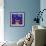 Fish Tales 12-David Sheskin-Framed Giclee Print displayed on a wall