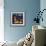 Fish Tales 20-David Sheskin-Framed Giclee Print displayed on a wall