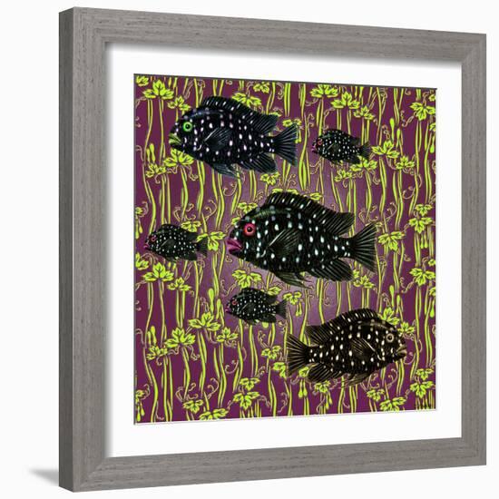 Fish Tales 4-David Sheskin-Framed Giclee Print