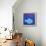 Fish With Spiral Moon-Casey Craig-Framed Stretched Canvas displayed on a wall