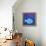 Fish With Spiral Moon-Casey Craig-Framed Stretched Canvas displayed on a wall