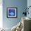 Fish With Spiral Moon-Casey Craig-Framed Premium Giclee Print displayed on a wall