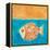 Fish With Spiral Sun-Casey Craig-Framed Stretched Canvas