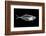 Fish X Ray-antpkr-Framed Photographic Print