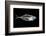 Fish X Ray-antpkr-Framed Photographic Print