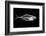 Fish X Ray-antpkr-Framed Photographic Print