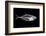 Fish X Ray-antpkr-Framed Photographic Print