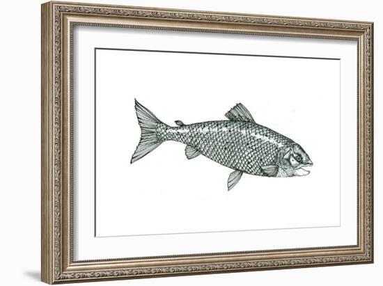 Fish-Wendy Edelson-Framed Giclee Print