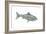 Fish-Wendy Edelson-Framed Giclee Print