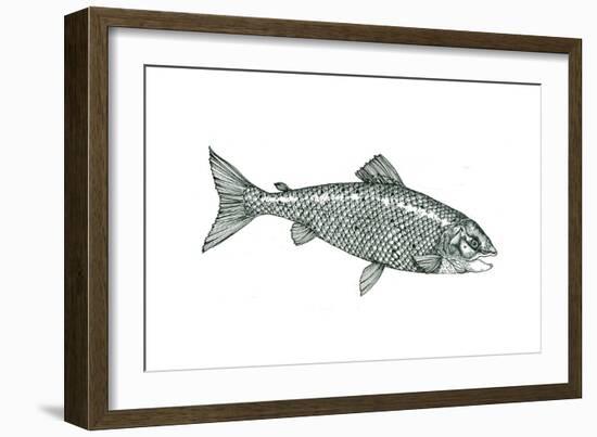 Fish-Wendy Edelson-Framed Giclee Print