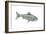 Fish-Wendy Edelson-Framed Giclee Print