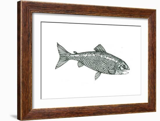 Fish-Wendy Edelson-Framed Giclee Print