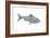 Fish-Wendy Edelson-Framed Giclee Print