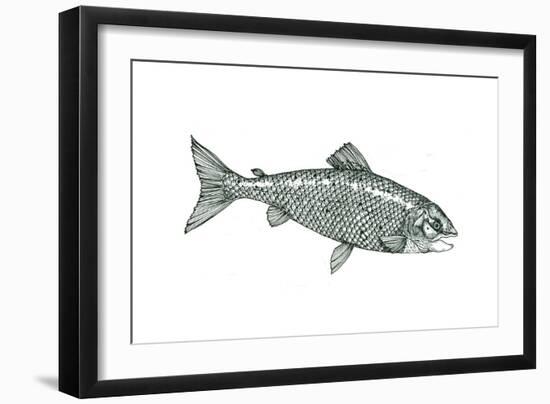 Fish-Wendy Edelson-Framed Giclee Print