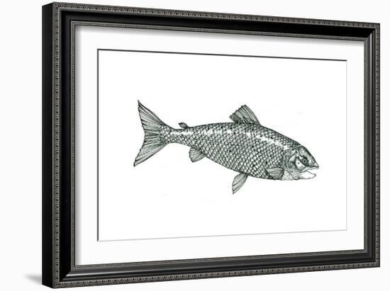 Fish-Wendy Edelson-Framed Giclee Print