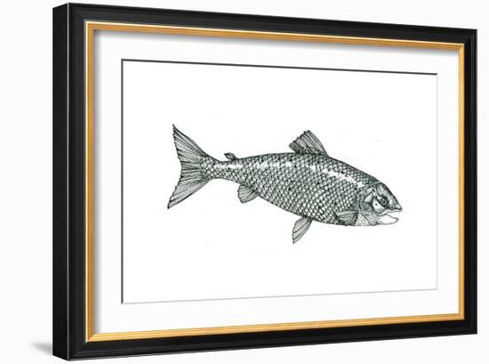 Fish-Wendy Edelson-Framed Giclee Print