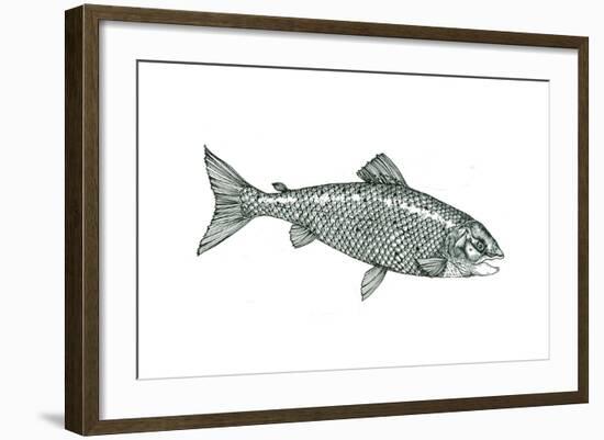 Fish-Wendy Edelson-Framed Giclee Print