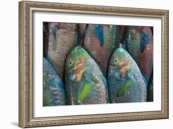 Fish-Karine Aigner-Framed Photographic Print