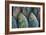 Fish-Karine Aigner-Framed Photographic Print