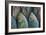 Fish-Karine Aigner-Framed Photographic Print