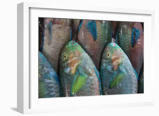 Fish-Karine Aigner-Framed Photographic Print