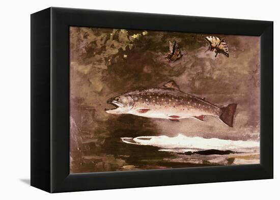 Fish-Winslow Homer-Framed Premier Image Canvas