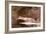 Fish-Winslow Homer-Framed Giclee Print