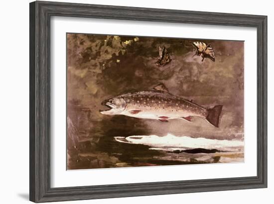 Fish-Winslow Homer-Framed Giclee Print