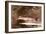 Fish-Winslow Homer-Framed Giclee Print