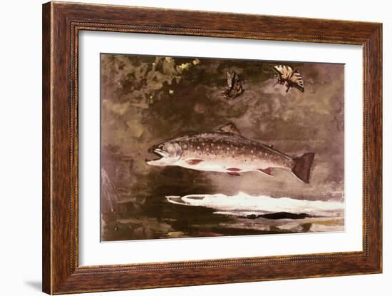 Fish-Winslow Homer-Framed Giclee Print