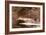 Fish-Winslow Homer-Framed Giclee Print