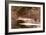 Fish-Winslow Homer-Framed Giclee Print