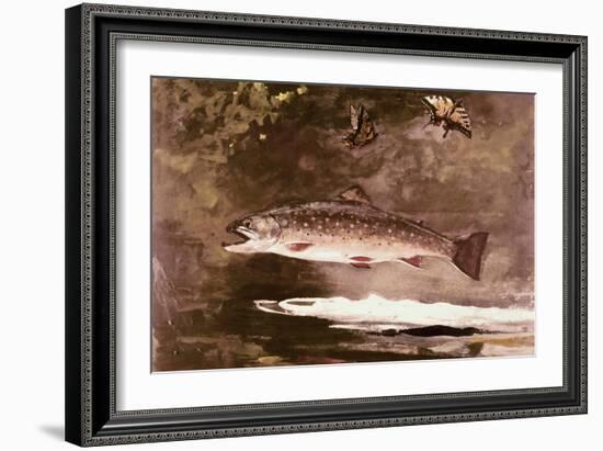 Fish-Winslow Homer-Framed Giclee Print