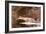 Fish-Winslow Homer-Framed Giclee Print