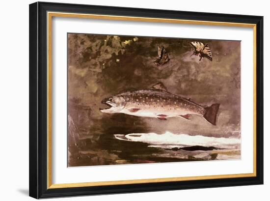 Fish-Winslow Homer-Framed Giclee Print