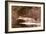 Fish-Winslow Homer-Framed Giclee Print